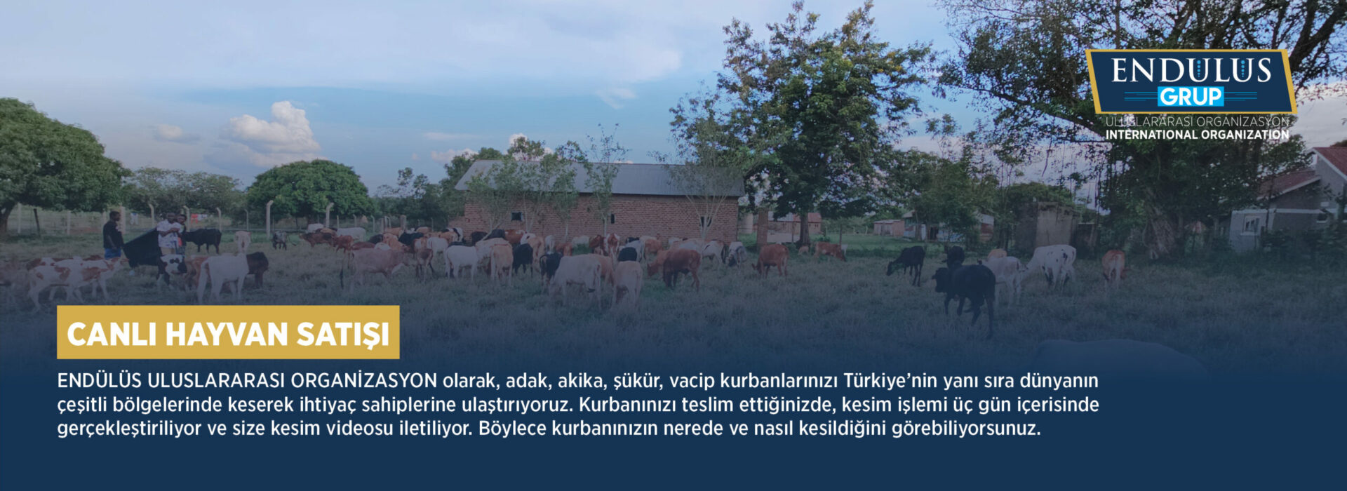 canlı hayvan satışı slider